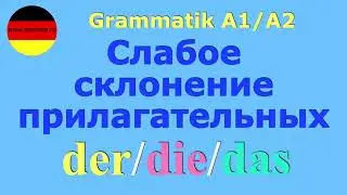 ЛЕКЦИЯ о Слабом склонении прилагательных /der/die/das/Nominativ/Akkusativ #deutsch