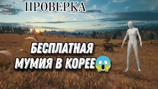 КАК БЕСПЛАТНО ПОЛУЧИТЬ МУМИЮ В ПУБГ МОБАЙЛ. БЕСПЛАТНАЯ МУМИЯ В КОРЕЕ В #PUBG #MOBILE