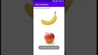 Android ImageView Simple Example Output | Android Studio Tutorial For Beginners | Kotlin and Java