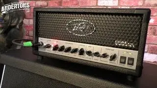 Peavey 6505 Mini Head - Devastating Tone.... said the Baboon!