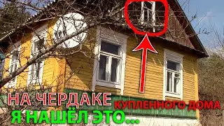 На чердаке купленного дома художник нашел...