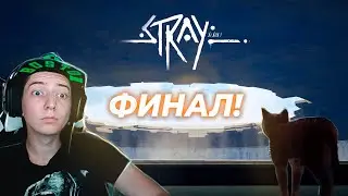 Прохождение Stray #7 | ФИНАЛ (Тюрьма и Центр Управления) | BITLEX - кот Стрей