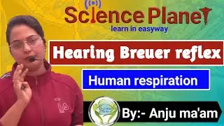 Hering Breuer reflex  ||Human respiration|| By Anju ma'am @scienceplanetbiology​