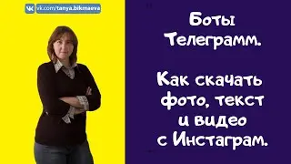 Как скачать фото, видео и текст с Инстаграм. Боты телеграмм