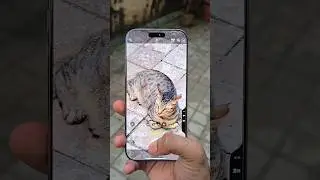 iPhone 16 Pro Max Camera Test 🔥