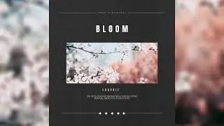 *[FREE]*EMOTIONAL / VOCAL / PAIN LOOP KIT/SAMPLE PACK "BLOOM LOOPKIT" | INTERNET MONEY, LIL TJAY ect