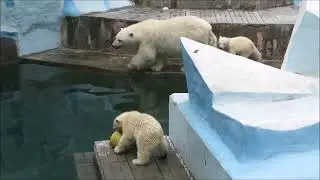 Одна малышка ходит хвостиком за мамой, другая малышка развлекает себя сама 29.05.2023