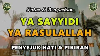 Ya Sayyidi Ya Rasulallah || Dikabulkan Segala Hajat || Sholawat Tanpa Musik Merdu #128