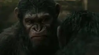 Dawn of the Planet of the Apes (2014) - Caesar vs Koba