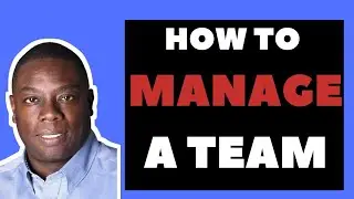 How to manage a team