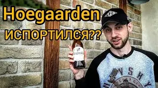 ХУГАРДЕН ИСПОРТИЛСЯ?? ОБЗОР - ДЕГУСТАЦИЯ ПИВА HOEGAARDEN