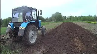 Сезон посадки картофеля 2023 закрыт