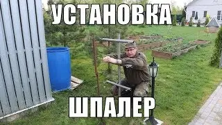 Свой сад. Шпалера для малины размеры и установка.