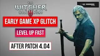 The Witcher 3 XP Glitch | New XP Farm After Patch 4.04 | 100K XP Per Minute! Level Up Fast!