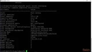 Video 26: vSphere Data Protection Appliance Command Line Interface CLI