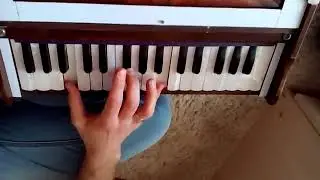 Илья Старшинов. Харе Кришна киртан аккорды гармонь. Harmonium chords class tutorial kirtan