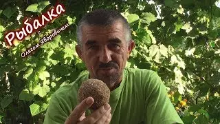 Приманка для рыбы. Дедовский метод забытый всеми рыбаками.