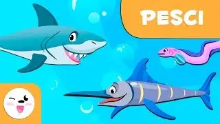 I pesci per bambini - Animali vertebrati - Scienze naturali per bambini