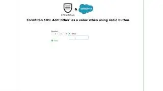 Add 'other' as a value when using radio button