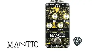 Mantic Effects Hivemind Octave Square Wave Distortion