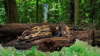 3 DAYS SOLO SURVIVAL: (NO FOOD, NO WATER)Survival Shelter in fallen tree trunks, Catch fish, Cooking