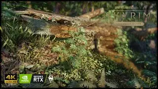 4K ULTIMATE GRASS COMBO 2022 | NEXT GEN GRAPHICS | Rudy ENB | Skyrim SE/AE