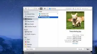Loading an Image in Processing
