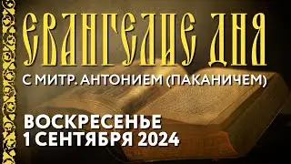 Толкование Евангелия с митр. Антонием (Паканичем). Воскресенье, 1 сентября 2024 года.