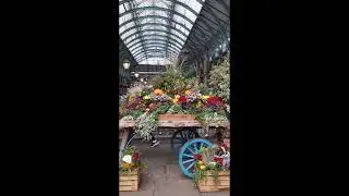 Autumn display in Covent Garden, London