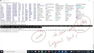 day3 | default Linux file structure  | part 3
