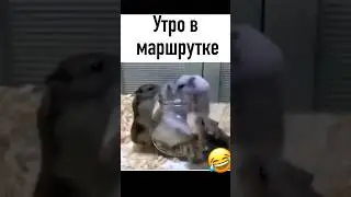 Всем доброго утра и хорошего настроения!