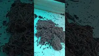 Первое заселение малëчка КАиМ Сталинградский ✌✌✌