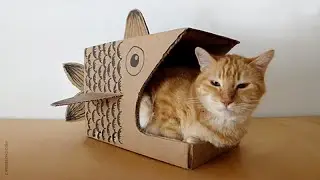 How to Make a Cardboard Fish for your Cat