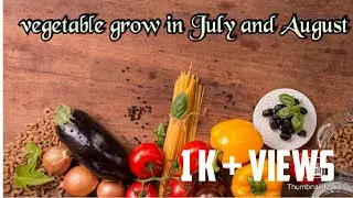 Vegetable grow in July and August / Vegetable grow in rainy season / Top 5 vegetables for summer