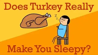 Why Turkey Doesn't Make You Sleepy | A Tryptophan Tall Tale