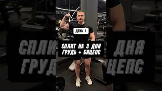 🔥СПЛИТ НА 3 ДНЯ В НЕДЕЛЮ! ГРУДЬ + БИЦЕПС! День 1