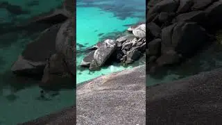 Симиланские острова, Симиланы, Таиланд, Similan Islands, Similan, Thailand