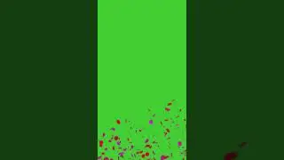 Confetti Burst Green Screen Effect with Sound | HD | FREE DOWNLOAD