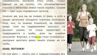 Увы, такова горькая правда  нас едят грибы