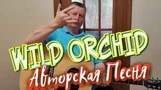 Дикая Орхидея. Авторская Песня. Wild Orchid. СуперМегаХит