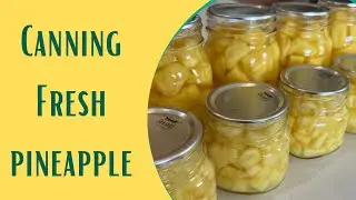 Canning Pineapple Tidbits & Chunks For The Pantry Shelf