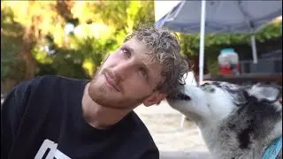 LOGAN PAUL BEST MOMENTS [PART 5]