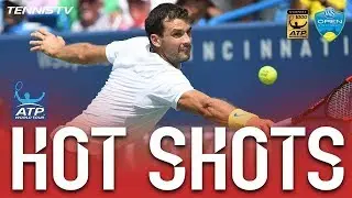 Dimitrov's Dive Volley Hot Shot Cincinnati 2017