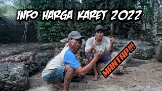 Harga Karet Tetap Stabil