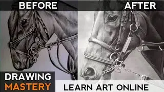 Artist Success Story | DRAWING MASTERY | Reyanshh Rahul Art University