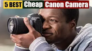 Best Cheap Canon Cameras of 2024