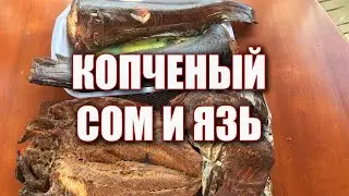 Копченый СОМ и ЯЗЬ. Домашнее копчение.