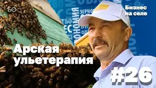 Как заснуть на ульях и проснуться здоровым | Бизнес на селе #26