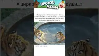 Мемы Приколы Лютые приколы Озвучка Коты #Shorts