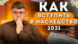 Как вступить в наследство. Сколько вступают в наследство